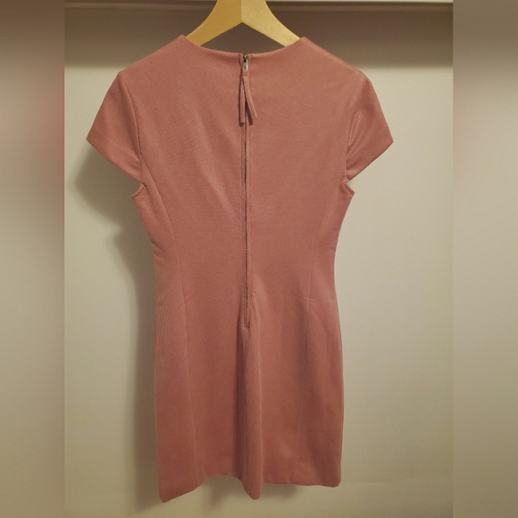 NWT GUESS Ramona dress. Shiny squared bonded suede. Blush pink. Size S. - Picture 6 of 13